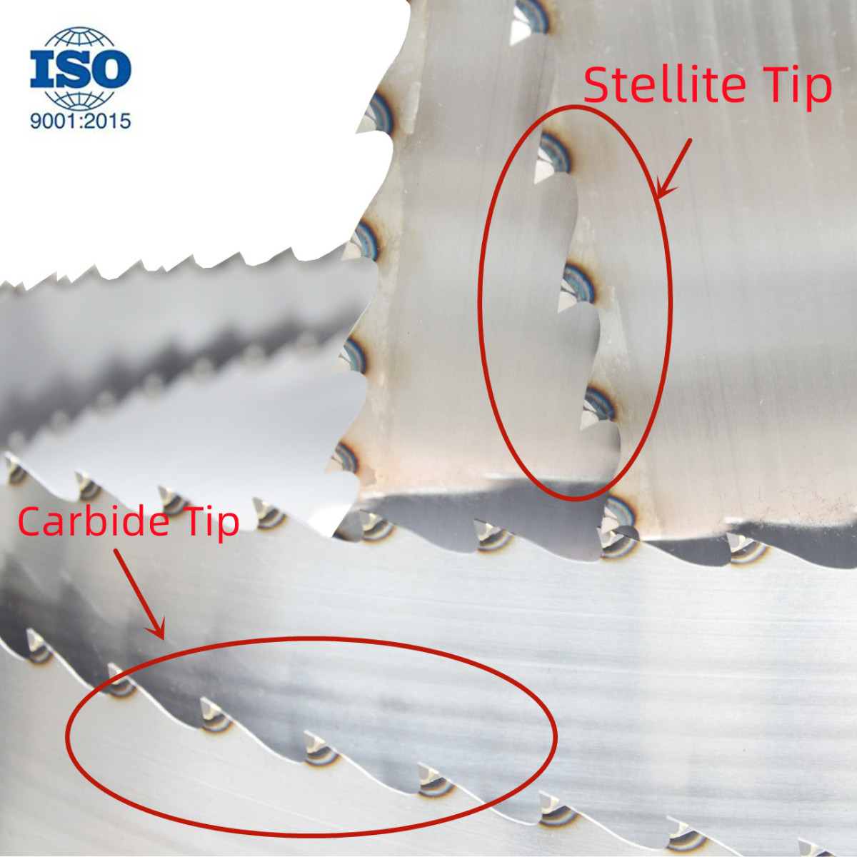 Industrial Sawmill High Cutting Speed Carbide Tooth Wood Bandsaw Timber Woodworking TCT Log Band Saws Blades 2Obrázok Industrial Sawmill High Cutting Speed Carbide Tooth Wood Bandsaw Timber Woodworking TCT Log Band Saws Blades - Image 2