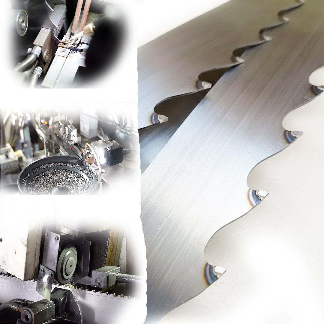 All Kinds Of Woodcutting Tungsten Carbide Tip Tct Band Saw Blades 3 All Kinds Of Woodcutting Tungsten Carbide Tip Tct Band Saw Blades - Image 3